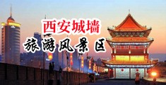 试看嗯啊试看中国陕西-西安城墙旅游风景区